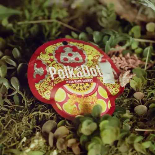 Polkadot Mushroom Gummies