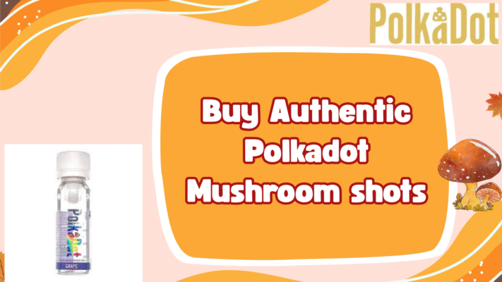 Buy Authentic Polkadot Mushroom shots
