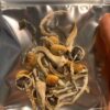 Mushroom Side Effects Long-Term